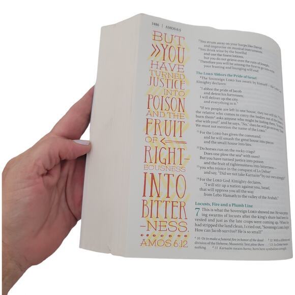 NIV Beautiful Word Bible Large Print with Colorful Illustrations - Picture 6 of 9